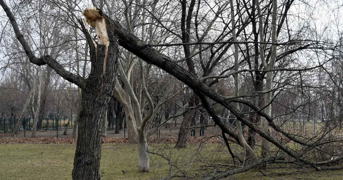 Orkánerejű szelet mértek a Dunántúlon, fákat döntött a vasúti pályákra