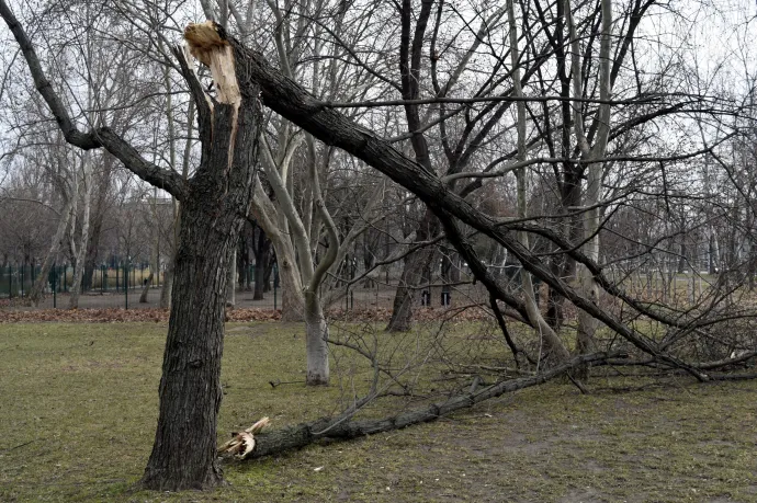 Orkánerejű szelet mértek a Dunántúlon, fákat döntött a vasúti pályákra
