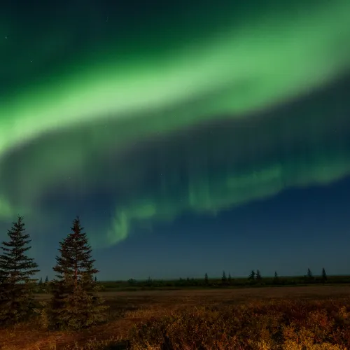 A sarki fény jelensége Alaszkában