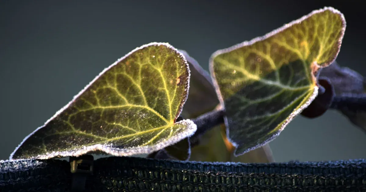 Fagyosan indul a hétfő, van, ahol -10 fokot mértek