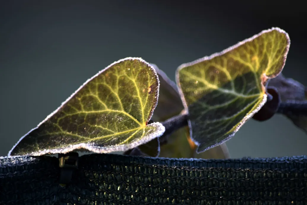 Fagyosan indul a hétfő, van, ahol -10 fokot mértek