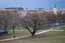 Tíz éven belül minden harmadik fát elveszíthetjük a klímaváltozás miatt Budapesten