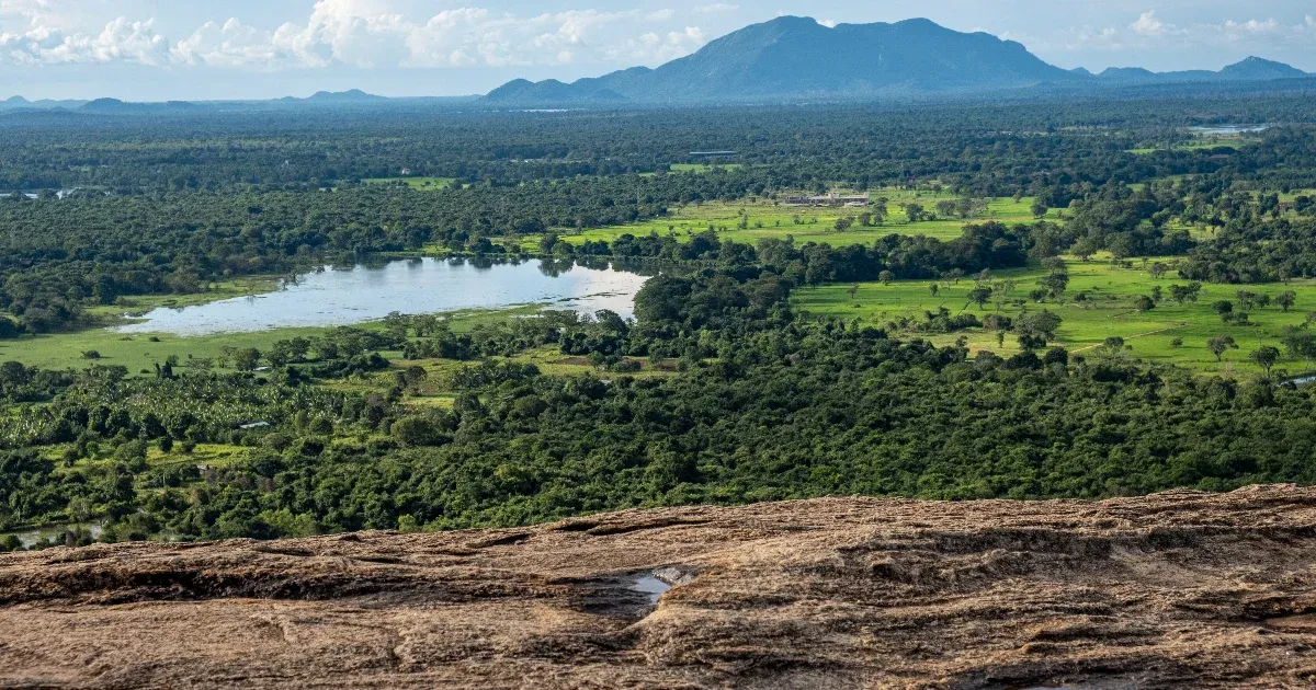 Nyomoznak a Srí Lankán elefánttámadásban meghalt magyar férfi balesetével kapcsolatban