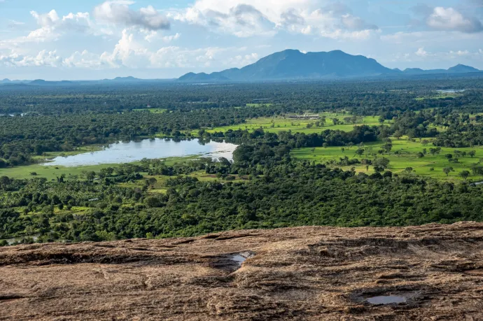 Nyomoznak a Srí Lankán elefánttámadásban meghalt magyar férfi balesetével kapcsolatban