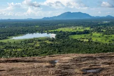 Elefánttámadásban halt meg egy magyar férfi Srí Lankán