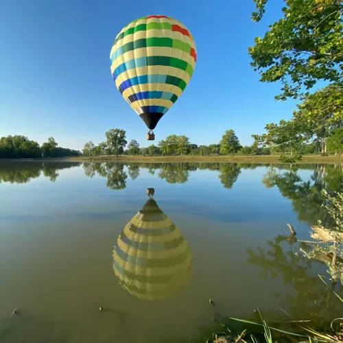 Kuporgás egy hőlégballon kosarában, legyek lefejezése egy laboratóriumban és az a bizonyos tej, ami talán azóta is a pulton erjed Kép