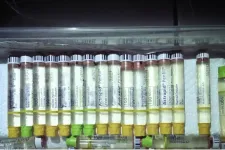 Garázsban kotyvasztott injekciókat és szereket árult 30 ezer forintért betegeknek egy érdi férfi