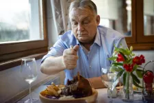 Szombaton kezdődik a hivatalos kampányidőszak