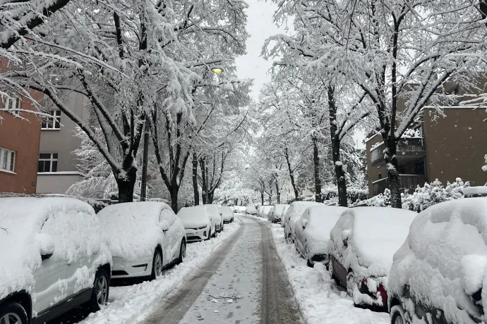 Hókáosz Ausztriában: lavina sodort el egy buszt, leállt a bécsi reptér, zárva vannak az iskolák Burgenlandban