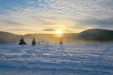 Döntött a bíróság: az államé lett egy Kovászna megyei közbirtokosság 2500 hektár erdeje