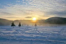 Döntött a bíróság: az államé lett egy Kovászna megyei közbirtokosság 2500 hektár erdeje, a helyi sajtó „visszaállamosításról” beszél