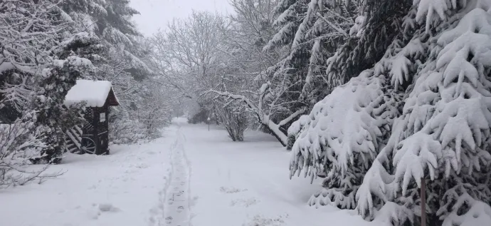 Hóhelyzet a soproni Lőverekben – Fotó: Nagy Márta / Telex