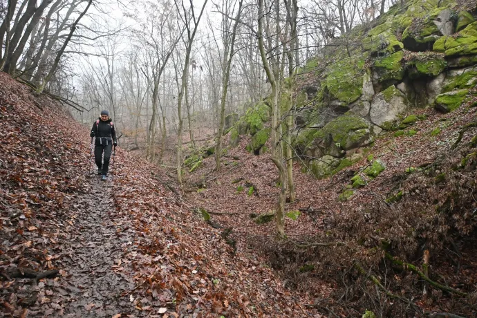 A Hurka-völgy, a sáncvár maradványai és az első ingókő – Fotó: Tenczer Gábor / Telex
