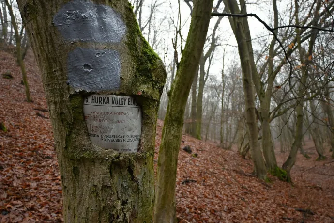 A Hurka-völgy, a sáncvár maradványai és az első ingókő – Fotó: Tenczer Gábor / Telex
