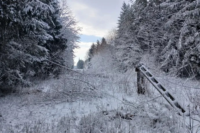 Több mint egy napja nincs áram Vas vármegye egyes részein, olvasónk szerint a segélyhívót sem érik el