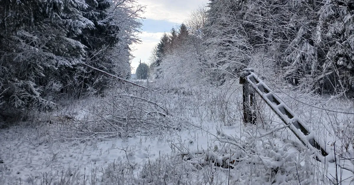 Több mint egy napja nincs áram Vas vármegye egyes részein, olvasónk szerint a segélyhívót sem érik el