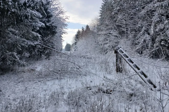 Több mint egy napja nincs áram Vas vármegye egyes részein, olvasónk szerint a segélyhívót sem érik el