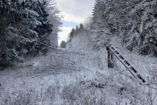 Több mint egy napja nincs áram Vas vármegye egyes részein, olvasónk szerint a segélyhívót sem érik el
