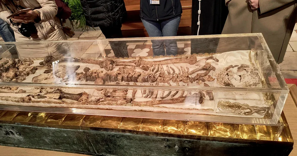 Kiállították Assisi Szent Ferenc 13. századi maradványait