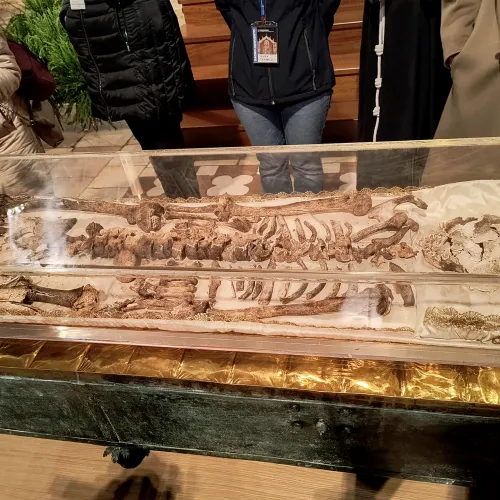 Kiállították Assisi Szent Ferenc 13. századi maradványait