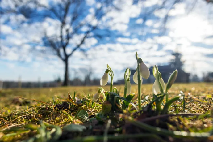 Óvatosan reménykedhetünk, a meteorológiai veszélyjelzés szerint is jön a tavasz