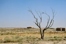 Vége lehet az éghajlati korszaknak, amiben felvirágzott az emberi civilizáció, és ez is a klímaváltozás miatt van