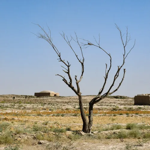 A holocén alkonya: Az antropogén kényszerhatás és a „forró Föld” állapot felé tartó trajektória