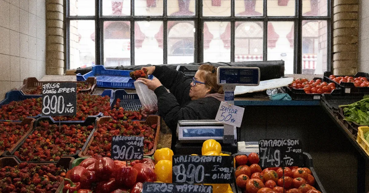 Egymillió dollárból élelmiszer-feldolgozó üzemet épít, így küzd a pazarlás ellen a Főváros