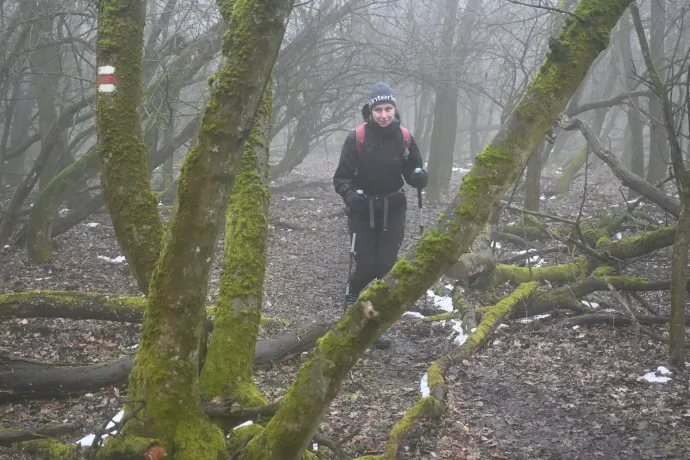 A Kovácspatakra befutó gerinc mohos fái, az üdülőtelep fénykorában, téli strand – Fotó: Helyi gyűjtemény, Tenczer Gábor / Telex