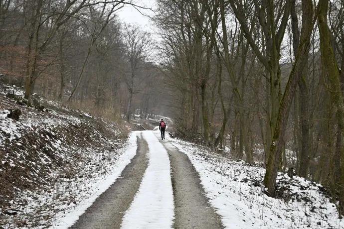 A Nagy-völgy és a Három-kút-tető – Fotó: Tenczer Gábor / Telex