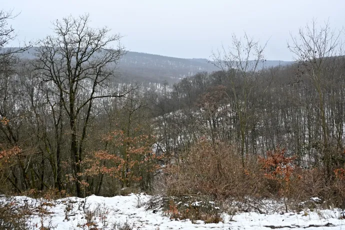 A Nagy-völgy és a Három-kút-tető – Fotó: Tenczer Gábor / Telex