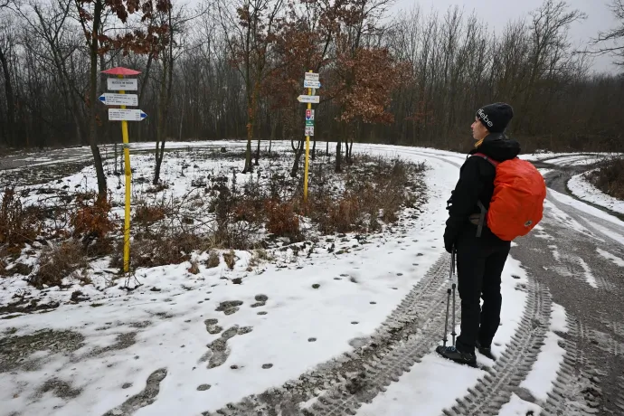 A Nagy-völgy és a Három-kút-tető – Fotó: Tenczer Gábor / Telex