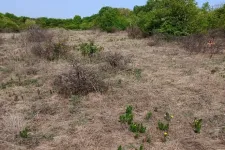 Kiemelt beruházási területté tenné a kormány a többször legyomirtózott budaörsi területet, de még a Fidesz jelöltje is tiltakozik ellene