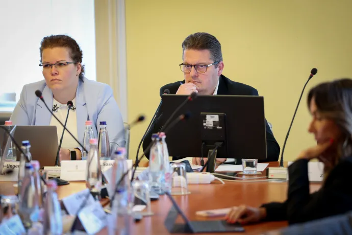 Sasvári Róbert László – Fotó: Bődey János / Telex