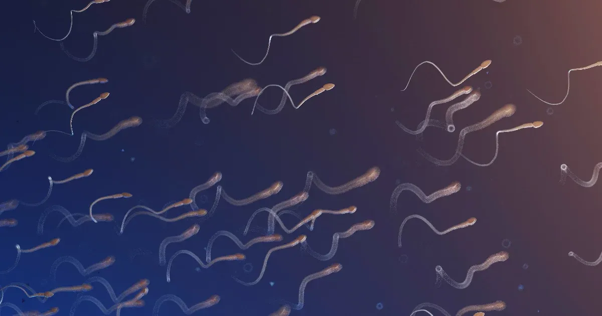 A spermák minősége júniusban és júliusban tetőzik, állítja egy kutatás