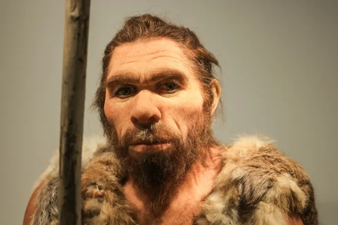 A neandervölgyi férfi szeretett összebújni ősanyáinkkal, a neandervölgyi nő viszont nem kereste a modern férfit