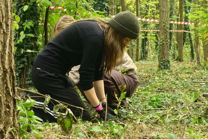 Akár százezer fát is elültethetnek ezen a hétvégén országszerte
