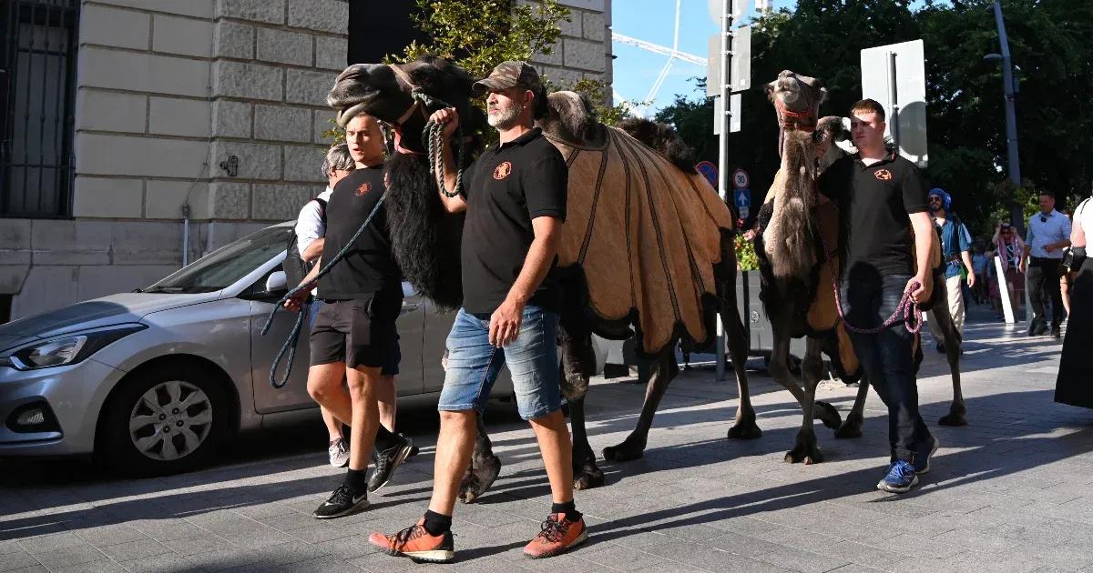 Magyarország előre menjen, ne hátra a klímacéljaival
