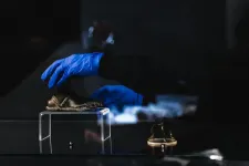 Erdélyi Kunstkammer – tíz különleges kincs a kolozsvári történeti múzeum új kiállításáról