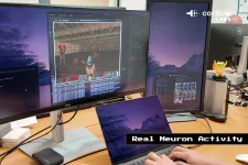 Élő emberi idegsejtekből épített működő számítógépet egy ausztrál startup