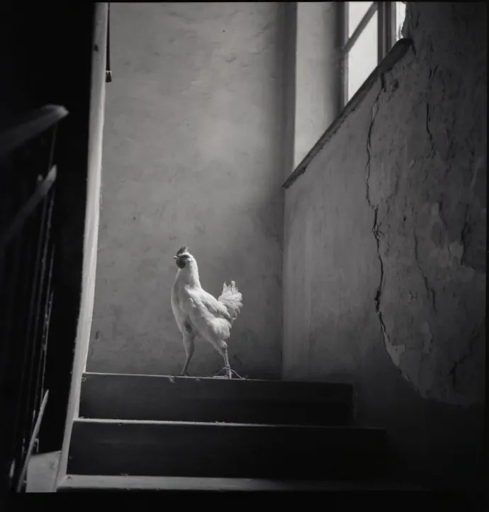 Lépcsőház, 1989 – Fotó: Szilágyi Lenke