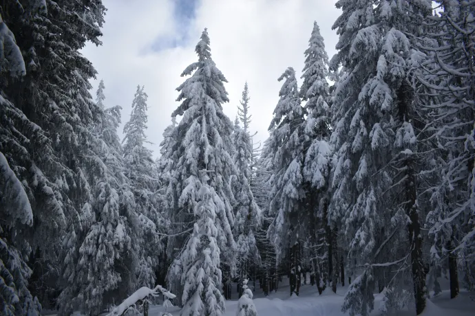 A Madarasi Hargita felé vezető úton – Fotók: Tőkés Hunor / Transtelex