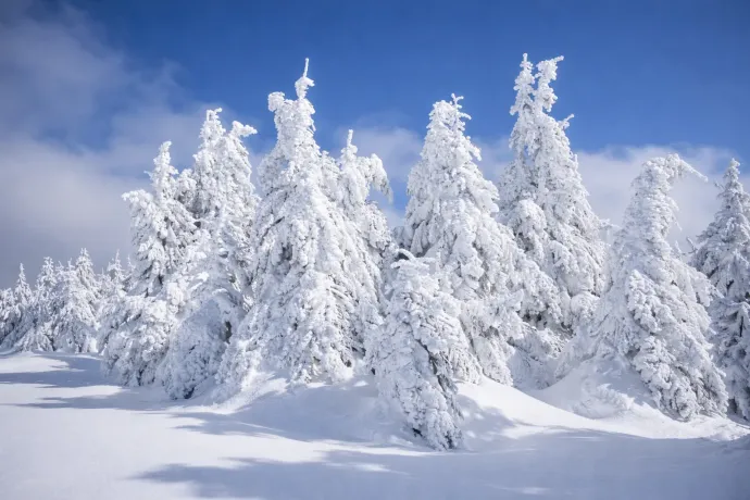 A Releu és a Bagolykő szépkilátásai – Fotók: Tőkés Hunor / Transtelex