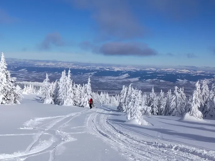 Csúszás 1700 méterről Hargitafürdőig – Fotók: Tőkés Hunor / Transtelex
