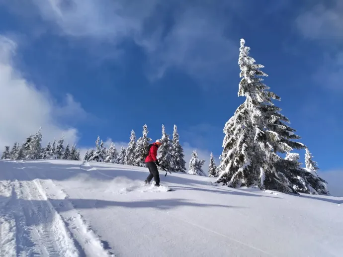 Csúszás 1700 méterről Hargitafürdőig – Fotók: Tőkés Hunor / Transtelex