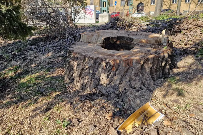 Kívülről lehet, hogy épnek látszott – Fotó: Thüringer Barbara / Telex