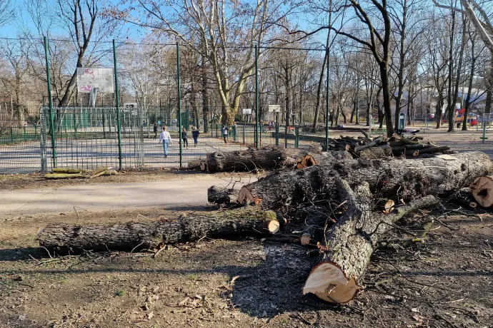 "Mintha egy tömeggyilkosság helyszínén lennénk” – Fotó: Thüringer Barbara / Telex