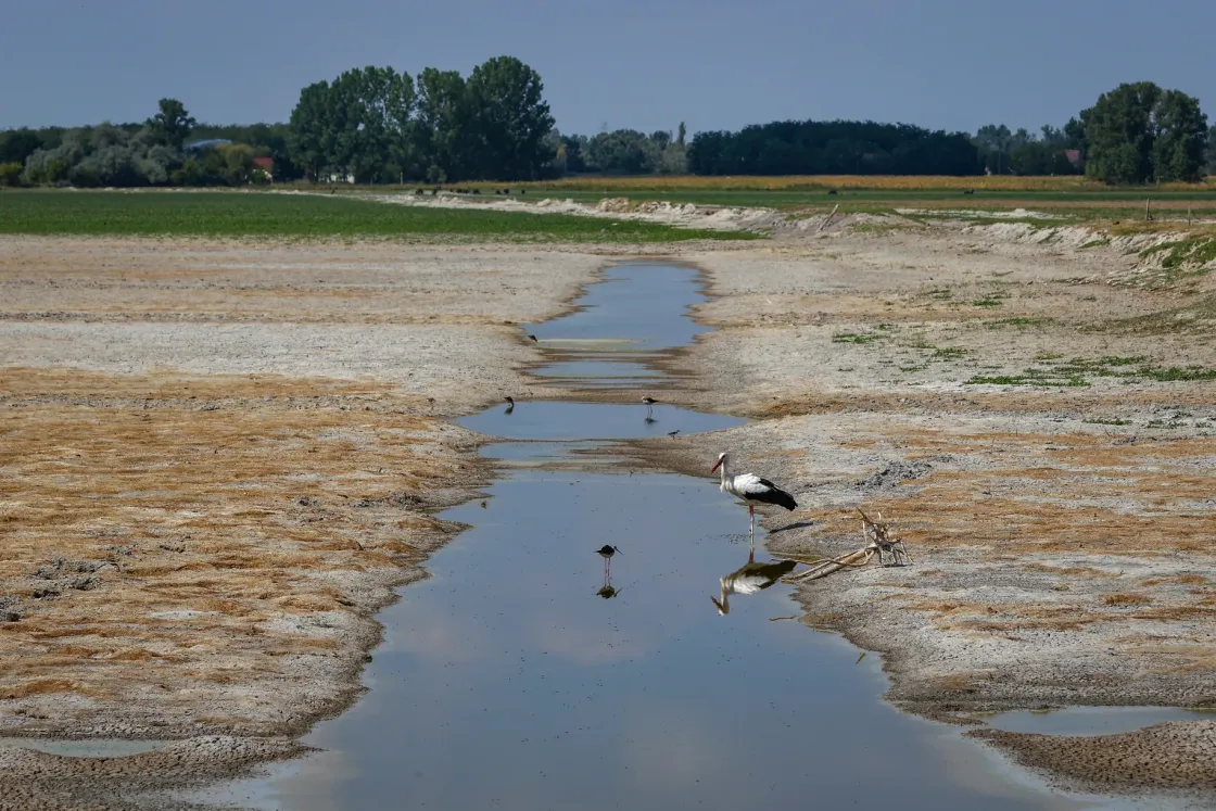 Mindegy, hogy a betonfalnak benzines, dízeles vagy elektromos autóval megyek neki