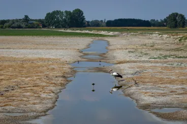 Mindegy, hogy a betonfalnak benzines, dízeles vagy elektromos autóval megyek neki
