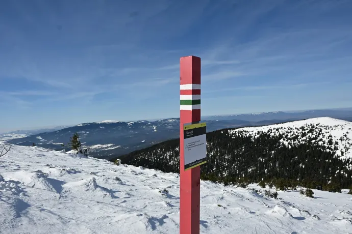 A fenyőerdő, a „magyar” hópózna, és a görnyedt törpefenyők háttérben a Magas-Tátrával – Fotó: Tenczer Gábor / Telex